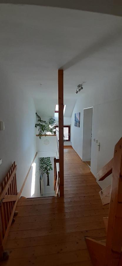 Casa Mediterrana Ii Apartment